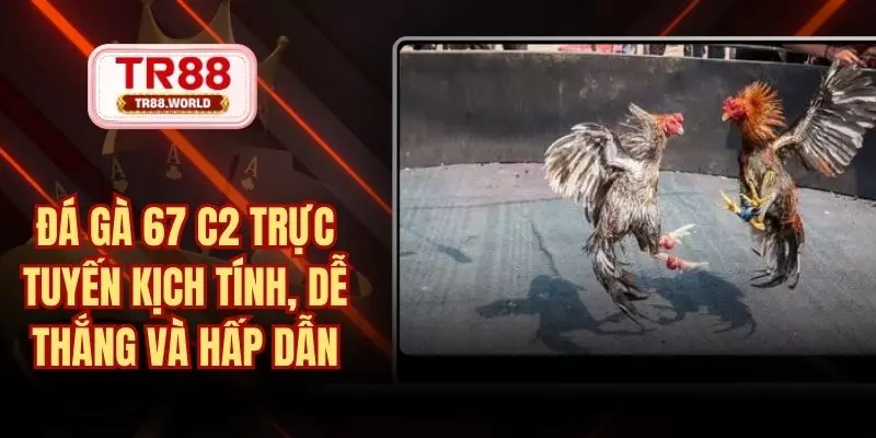 đá gà 67 c2